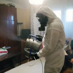 Дезинфекция от клопов в Жаворонках