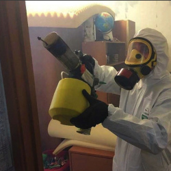 Уничтожение клопов в квартире. Жаворонки